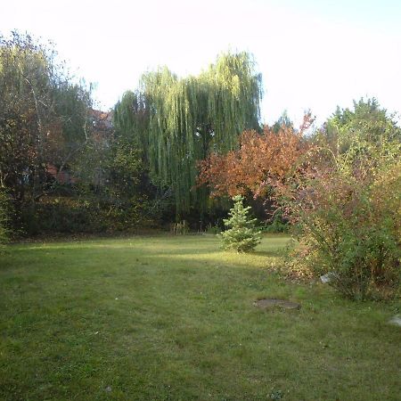 Aulich Apartman Miskolc Buitenkant foto