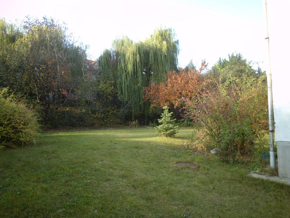 Aulich Apartman Miskolc Buitenkant foto